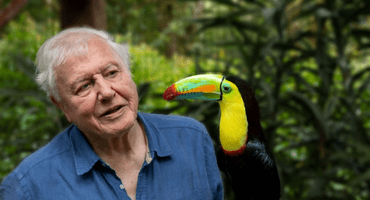 what is david attenborough famous for